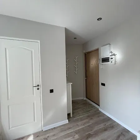 Expansive One Bedroom Gem In A Peaceful Locale Apartment